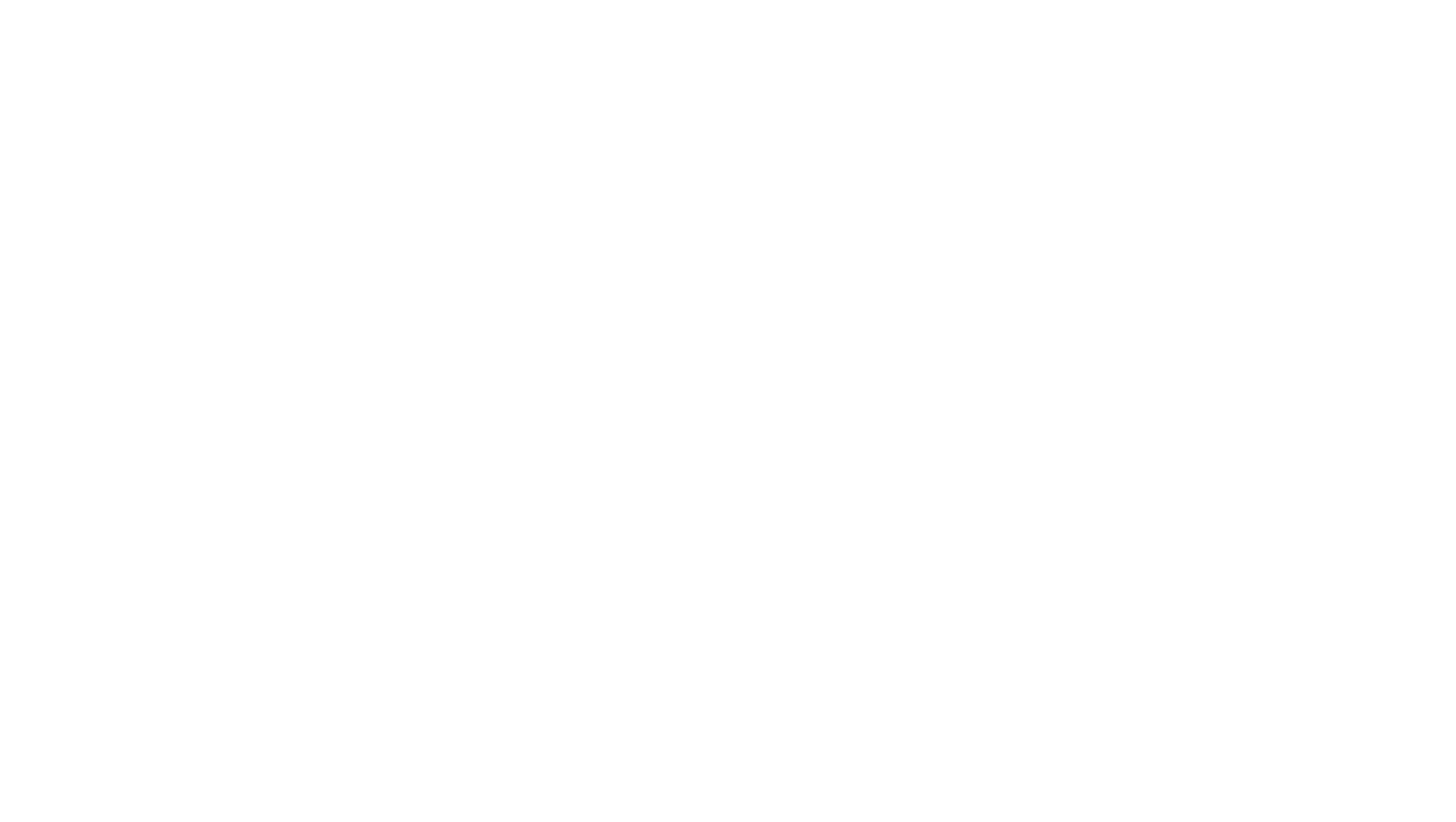 Charlotte Fever